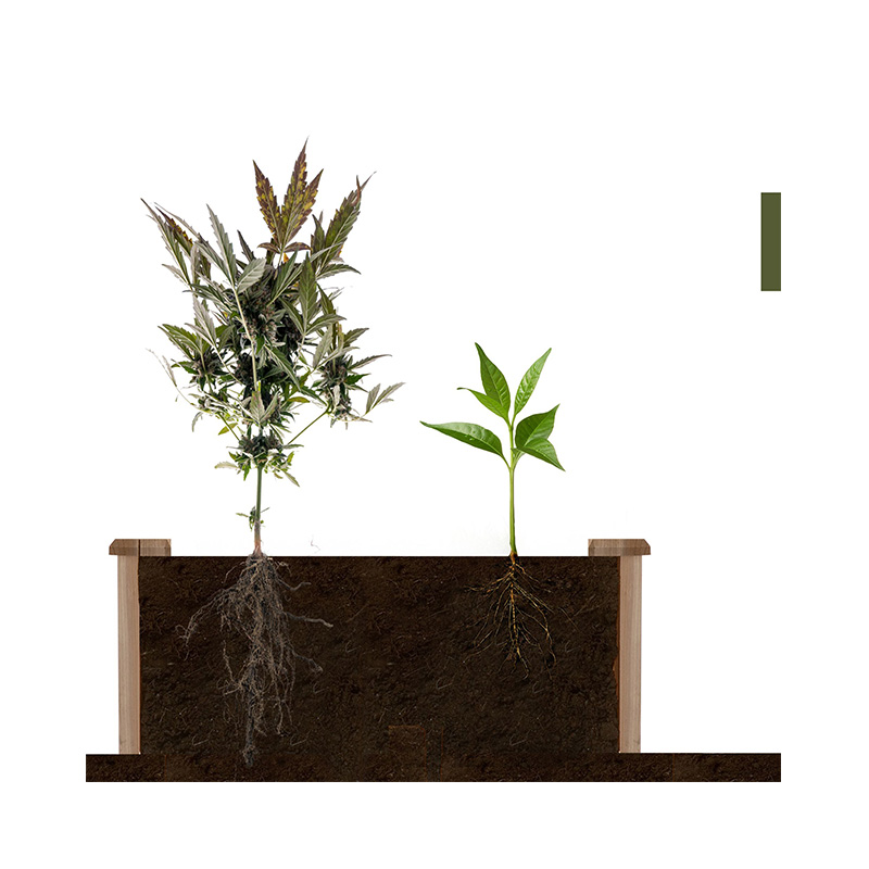 Vyvýšený záhradný záhon s rozmermi 3,9 ft x 3,9 ft so segmentovanou mriežkou na pestovanie, drevený materiál pre záhradné rastliny a bylinky