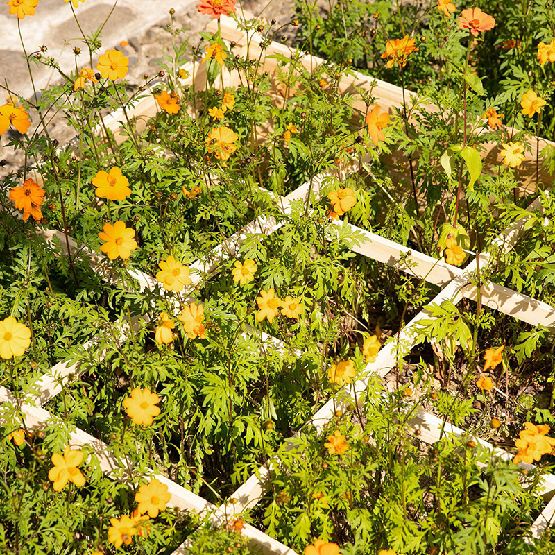 Vyvýšený záhradný záhon s rozmermi 3,9 ft x 3,9 ft so segmentovanou mriežkou na pestovanie, drevený materiál pre záhradné rastliny a bylinky